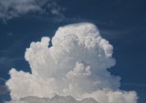 Cumulus congestus pileus