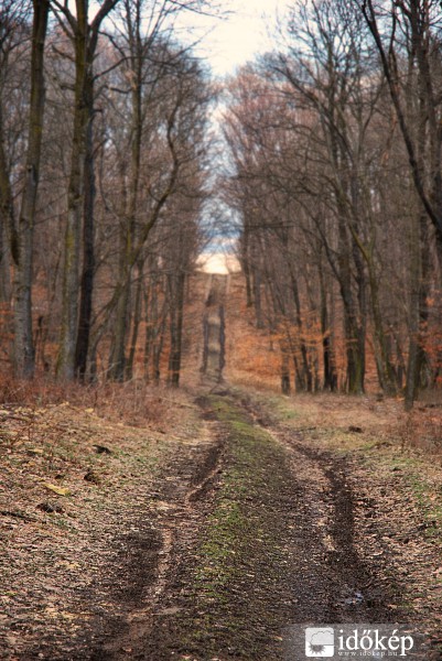 Út a végtelenbe