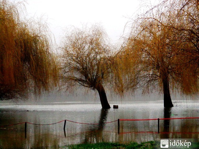 Árad a Tisza