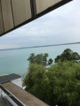 Balatonaliga