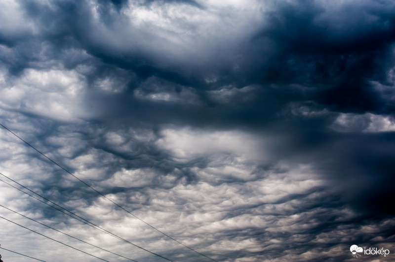 Undulatus Asperatus