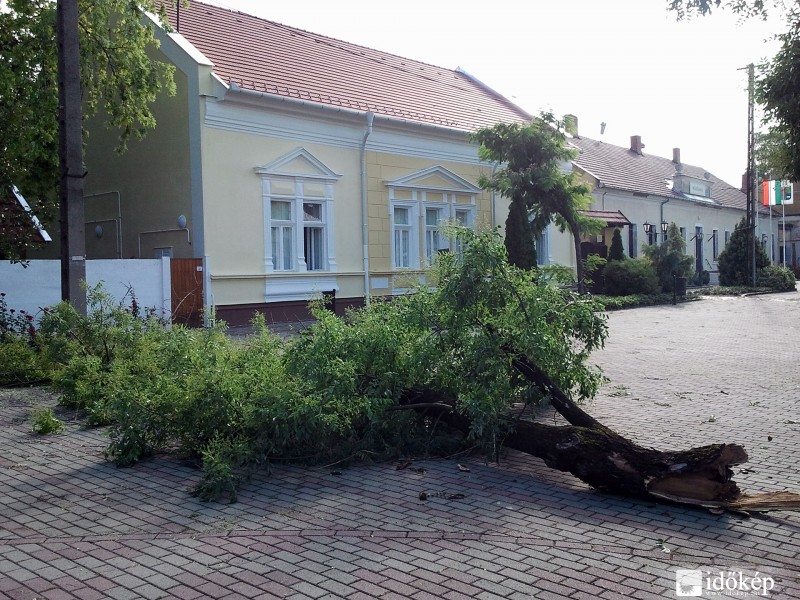 Letőrt ág az óvoda előtti főtéren