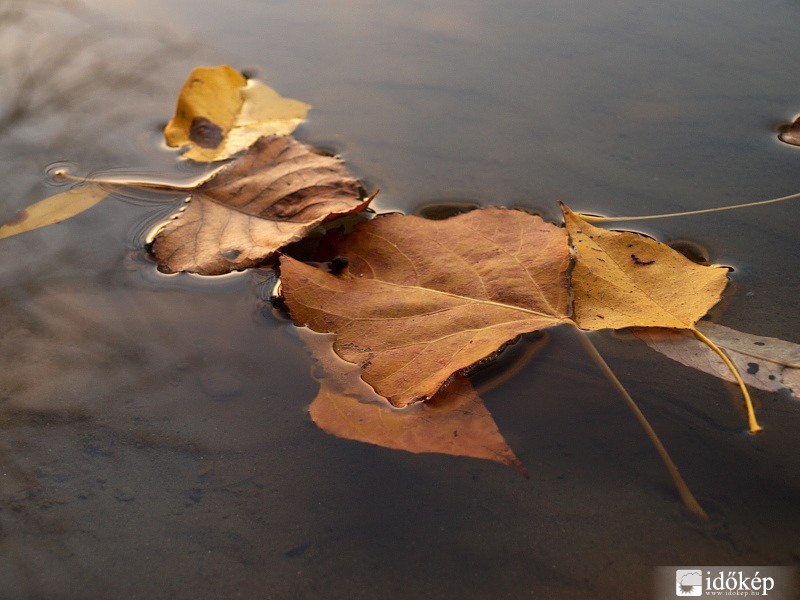 Tisza