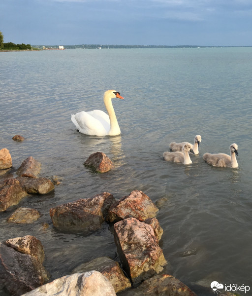 Balatonkenese