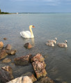 Balatonkenese