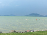 Balatonfenyves