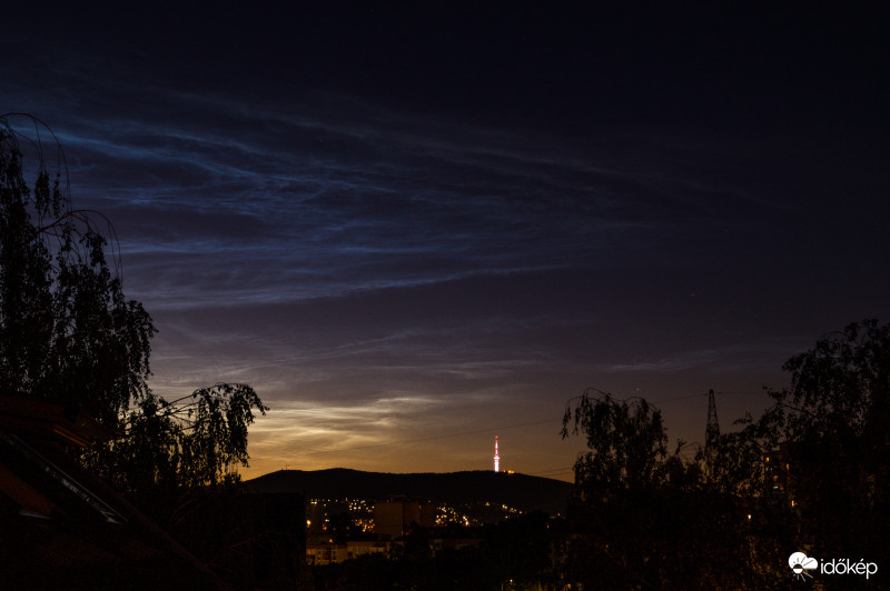 Nlc Pécs 