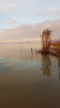 Balatonfenyves