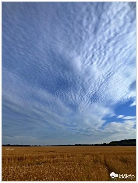 Cirrocumulus stratiformis