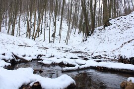 Pécs-Somogy