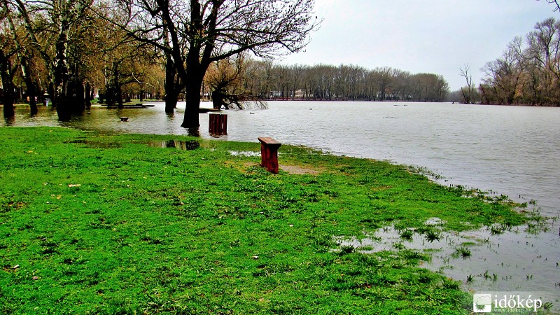 Teret hódít a Tisza Mártélynál