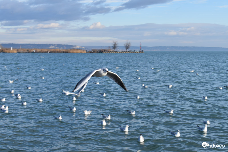 Téli Balaton