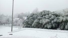 Veszprém ipari havazás 2024.12.31