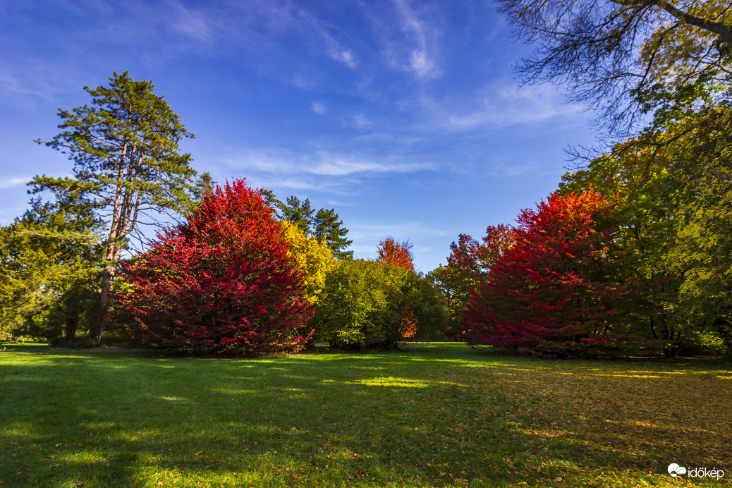 Arborétum 