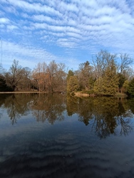 Vácrátóti Arborétum