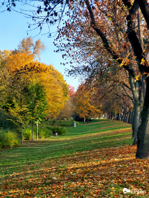 Hajógyári szigeten vasárnap reggel