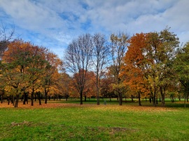 Hajógyári sziget