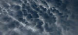 Mammatus