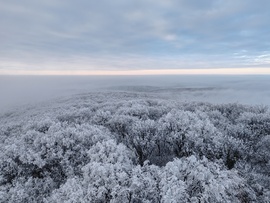 Panoráma