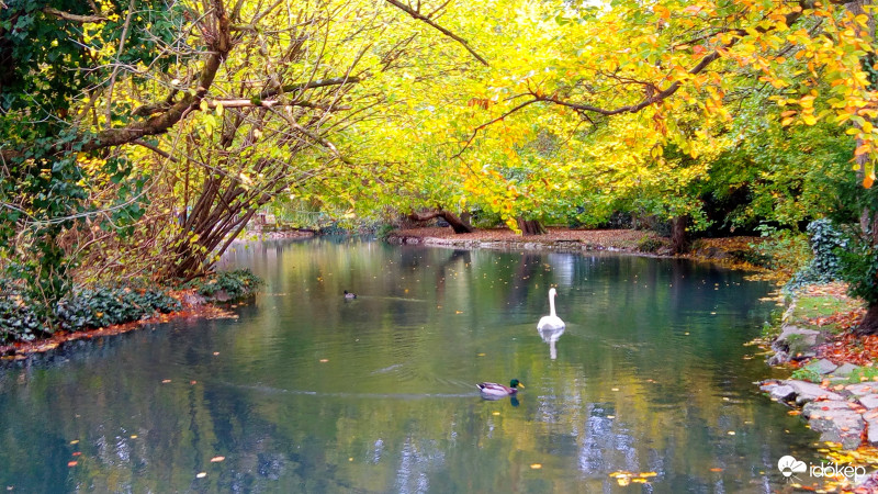 Miskolc Tapolca