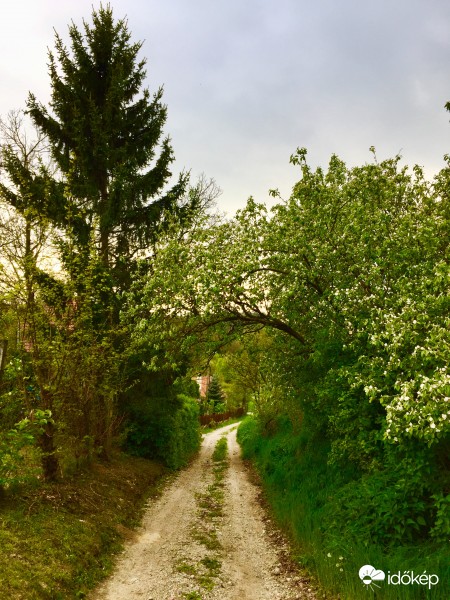 Zalaegerszeg - Egerszeghegy