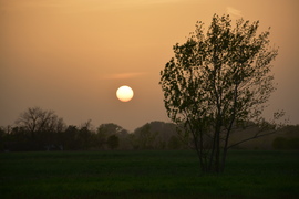 Hódmezővásárhely 