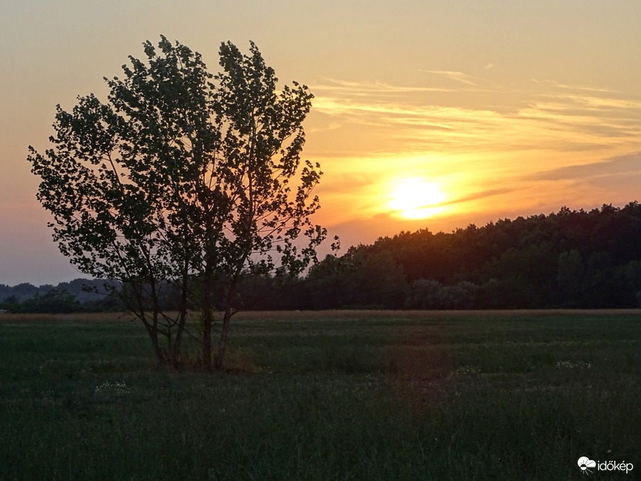 Hódmezővásárhely 