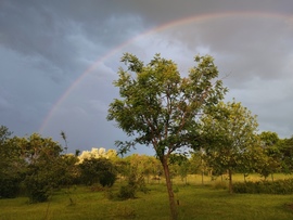 Hódmezővásárhely 