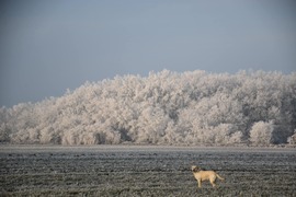 bianka11 fotója