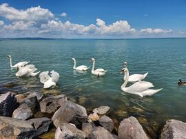 Balatonszabadi