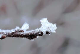 December végén. 