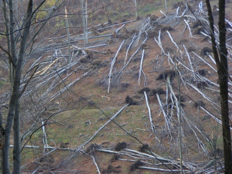 Bánkút 2008. okt. 30.