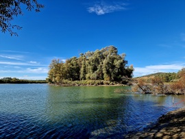 Októberi nyár