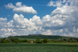 bogyooca fotója