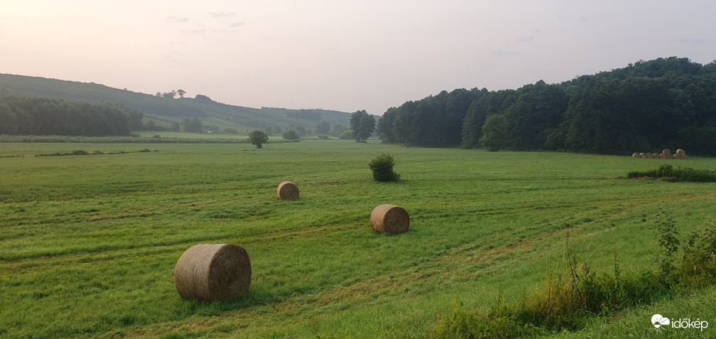 Babosdöbréte