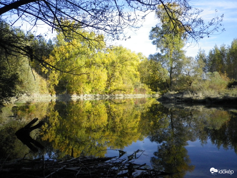 Duna, holtág