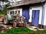 A veterán