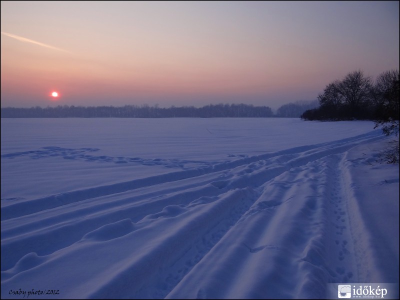 2012.02.10. Csordajárás.