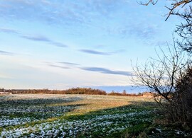 Polgárdi, domboldal Napkelte fényében