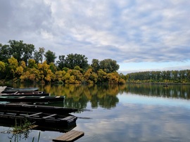 Mártély Holt-Tisza