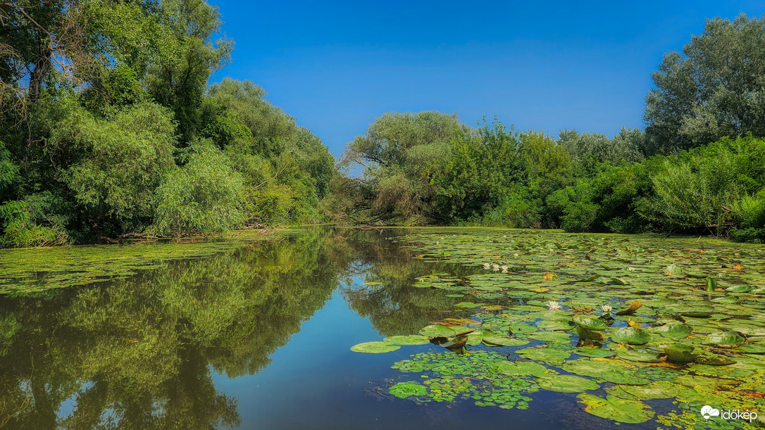 Tisza tó