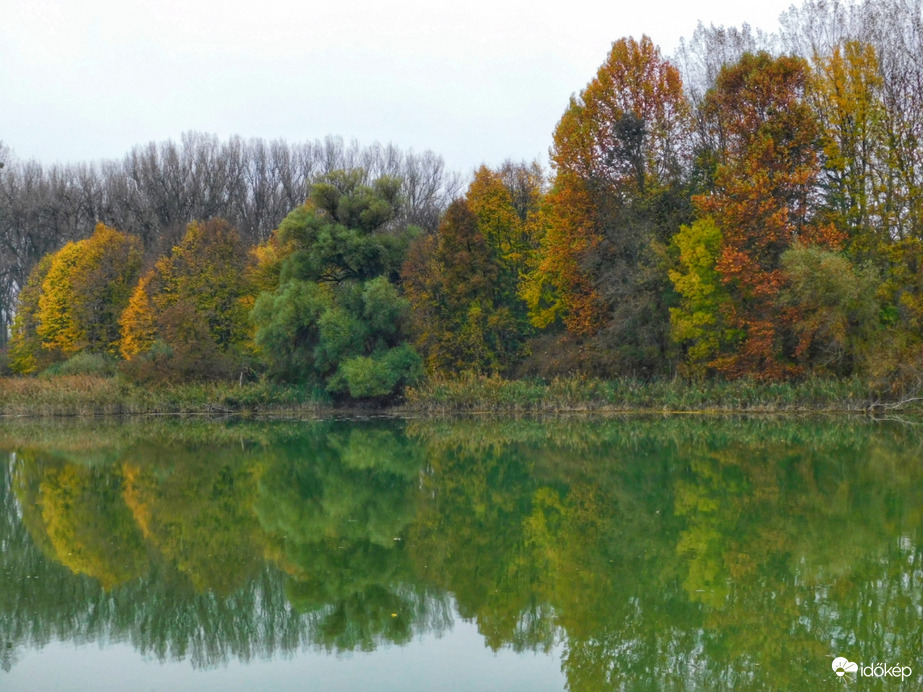 Őszi tükörkép a Szigetközből!