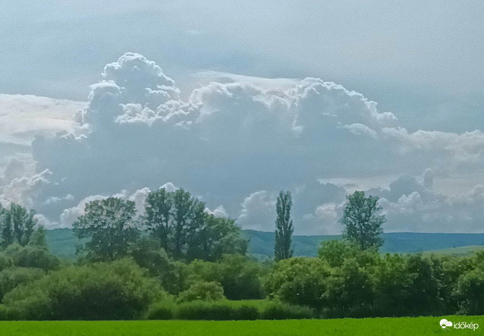 Congested cumulus 