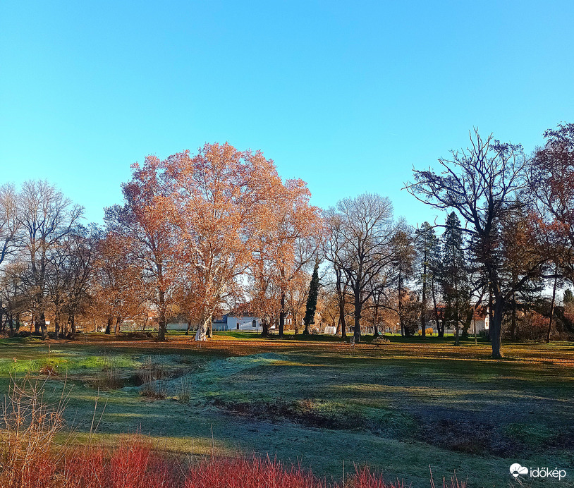 A frosty morning 