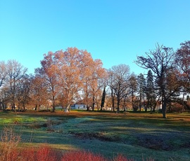 A frosty morning 