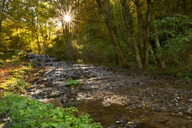 Fátyol