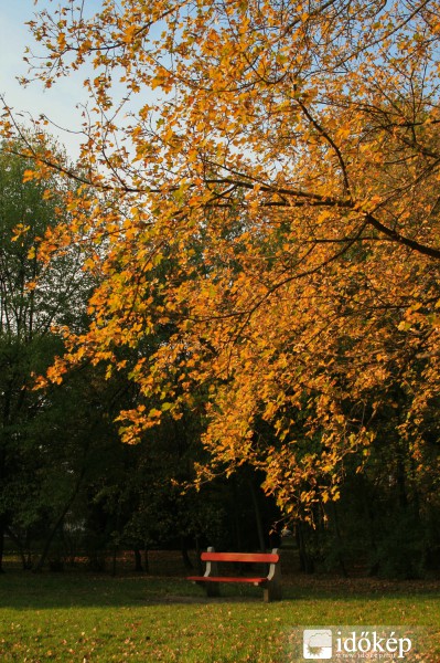 Ősz a parkban