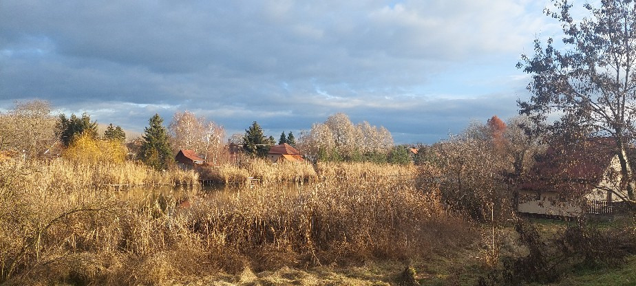 Gyomaendrőd