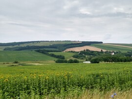 Miskolc