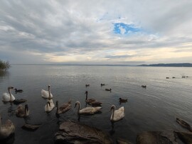 Balatonfüred